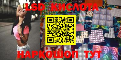 гидропоника Новозыбков