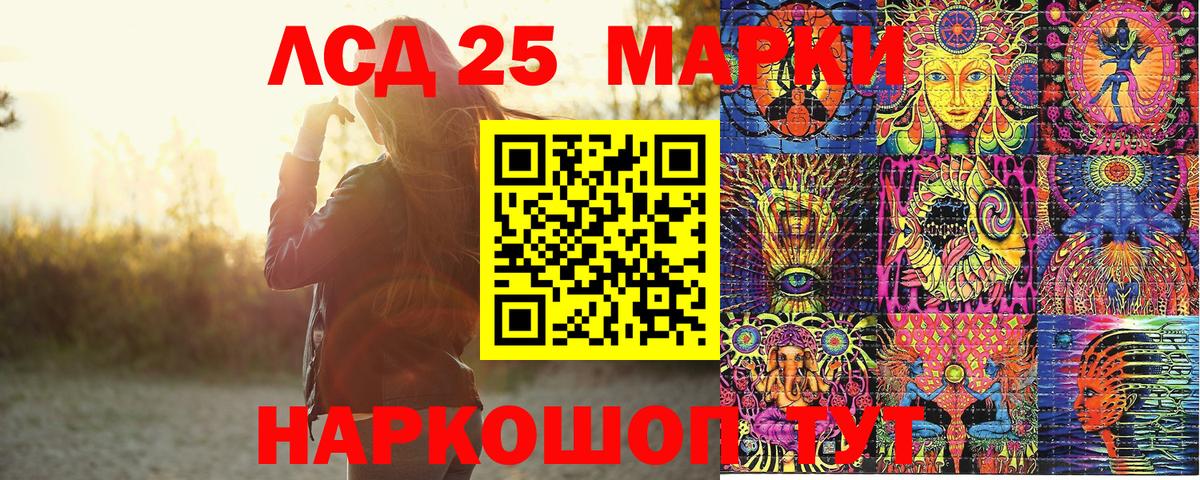 Псилоцибиновые грибы Чехов